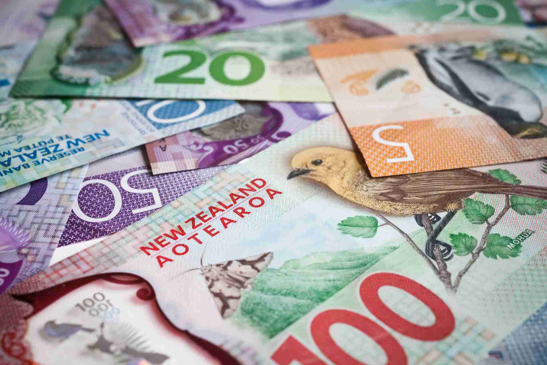 Close-up of New Zealand banknotes, including denominations of $5, $20, $50, and $100, featuring images of native birds and landmarks