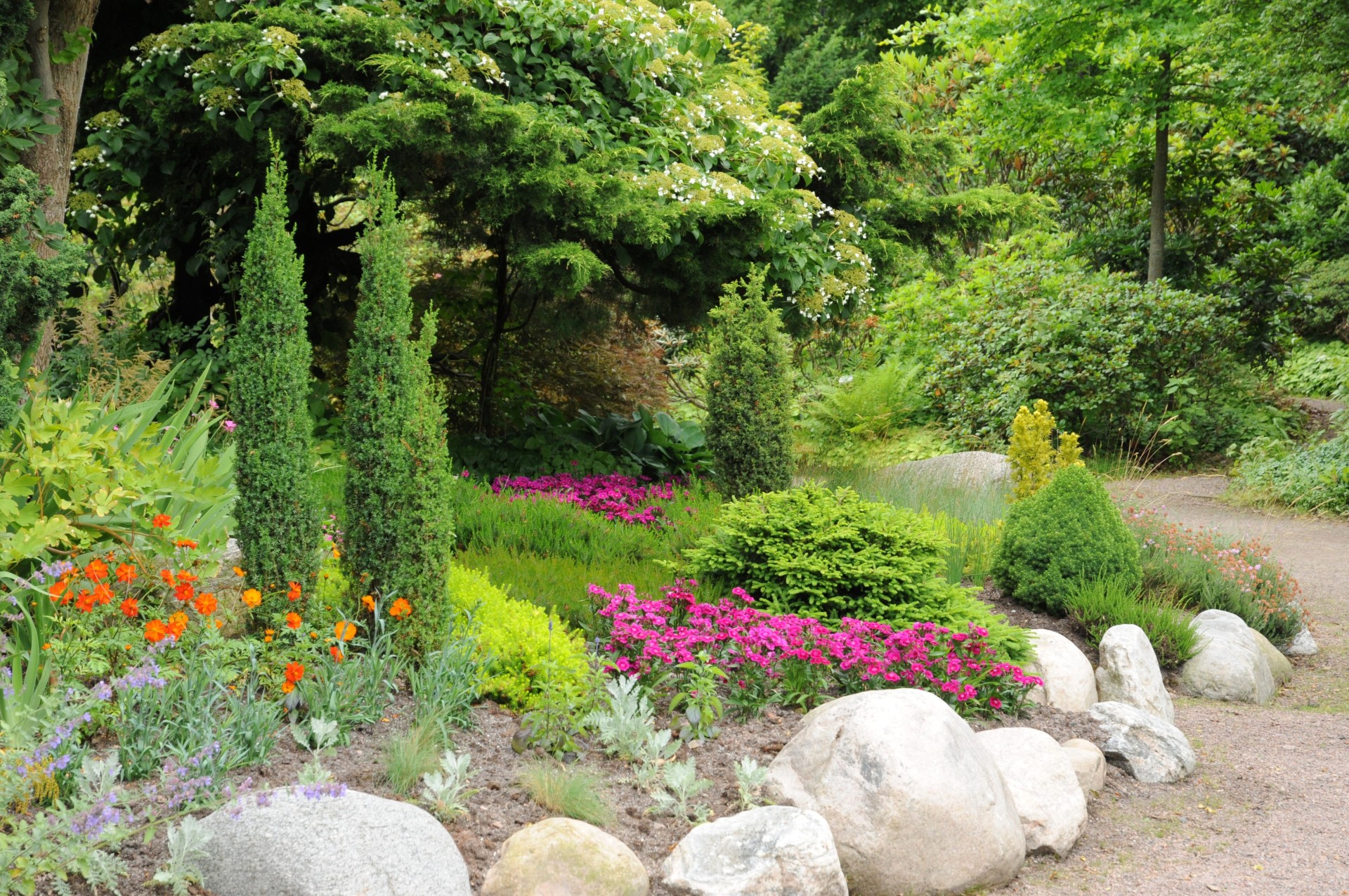 Lush garden with green shrubs, colorful flowers, and a stone-lined pathway