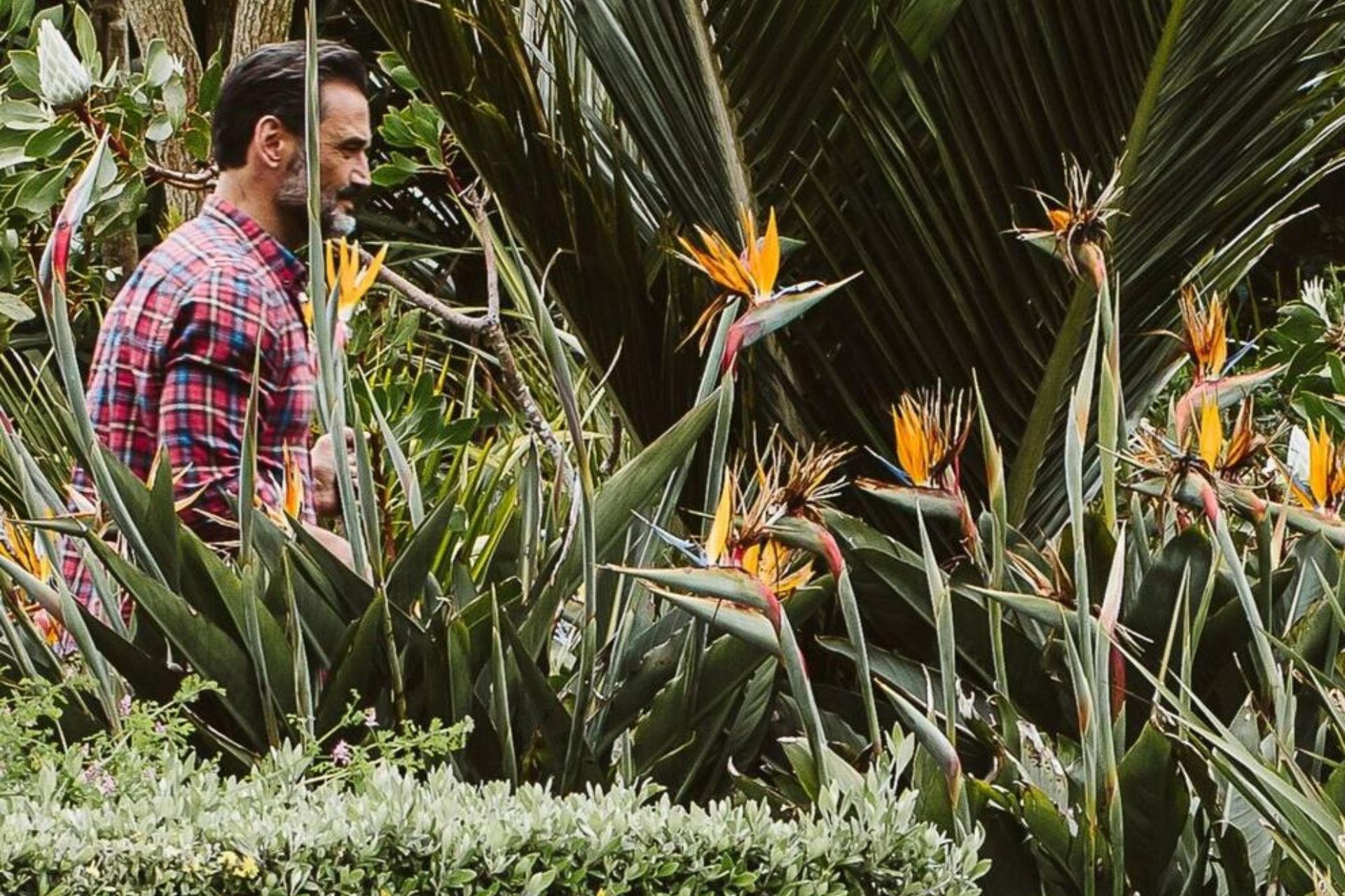 Outdoor space with plant and flowers