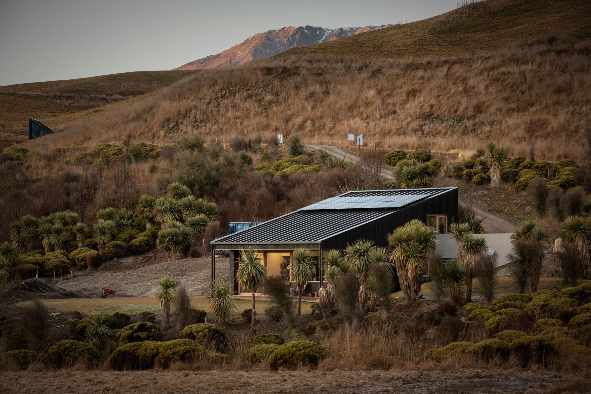 Modern home surrounded by native vegetation in a natural hillside setting.