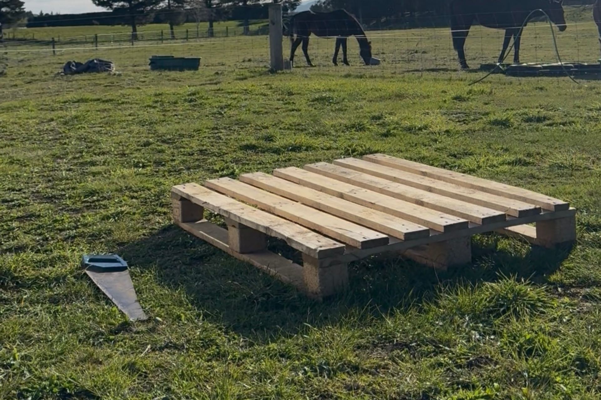 DIY wooden pallet platform in a grassy paddock with horses grazing in the background.